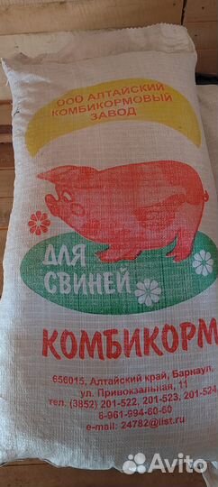 Ячмень