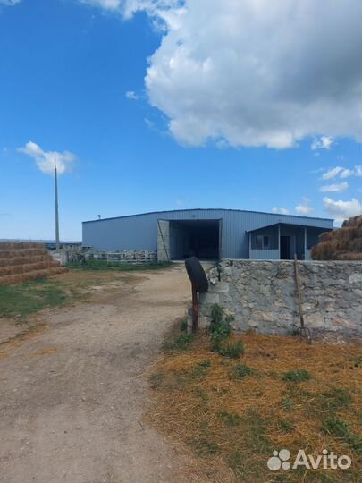 Животноводческая ферма продаю