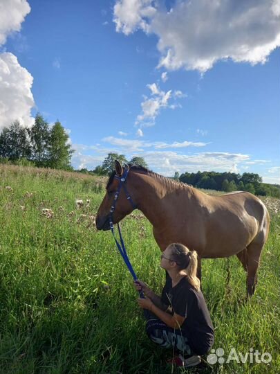 Прокат на лошадях