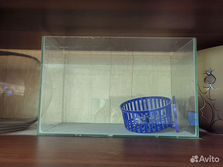 Аквариум для рыбок или хомячка