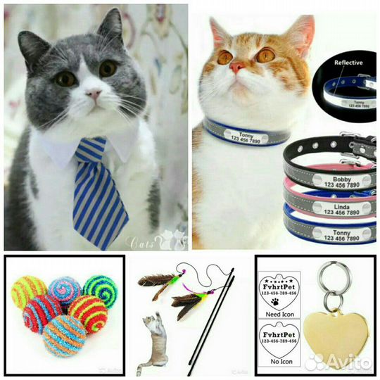 Поводок намордник мяч галстук бантик бирка ошейник