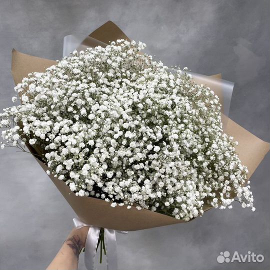 Гипсафила белая и радужная