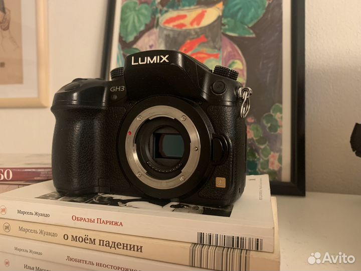 Камера Panasonic Lumix gh3
