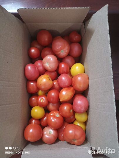 Смородина 230, помидоры, перец, огурцы