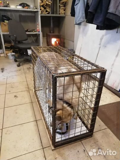 Клетка, вольер для собак