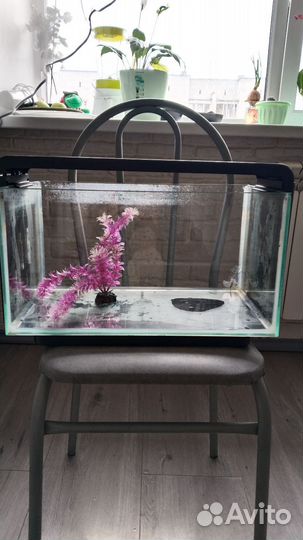 Аквариум на 15л
