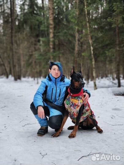 Дрессировка собак Одинцово, Трехгорка, Сколковский