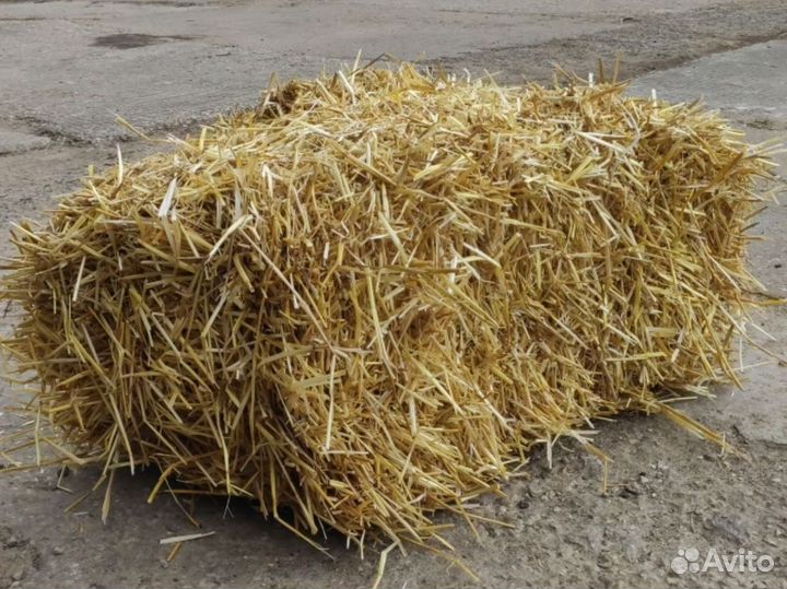 Солома в тюках