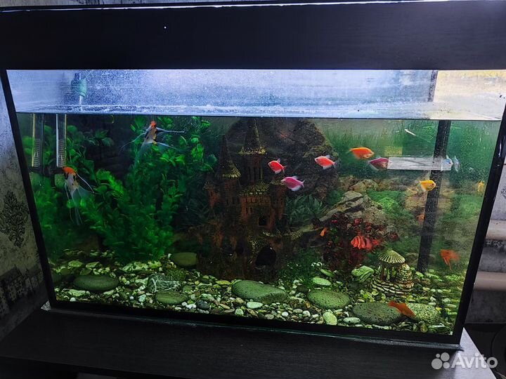 Аквариум