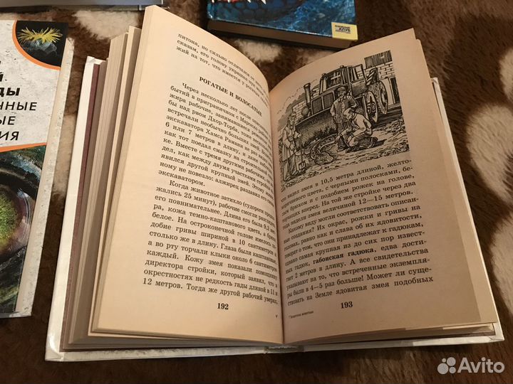 Загадочные животные