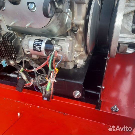 Бурлак- беркут