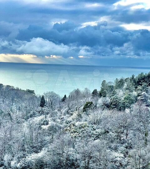 Квартира-студия, 30 м², 7/9 эт.