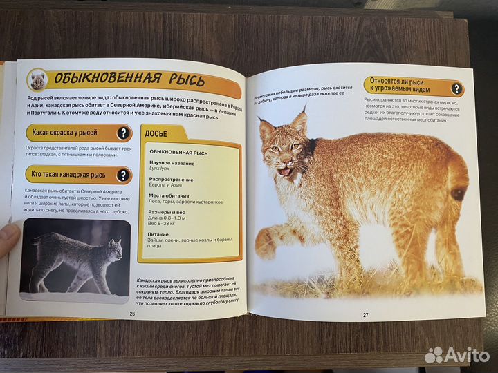 Книга для детей о животных