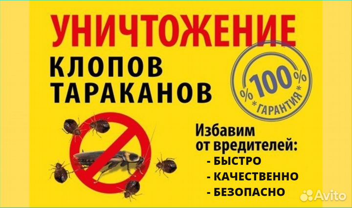 Уничтожим тараканов, клопов, грызунов. Клининг
