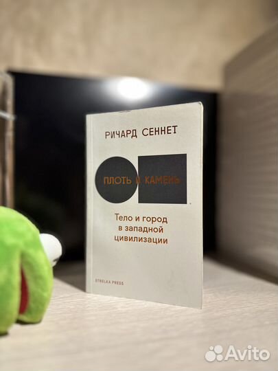 Ричард Сеннет плоть и камень