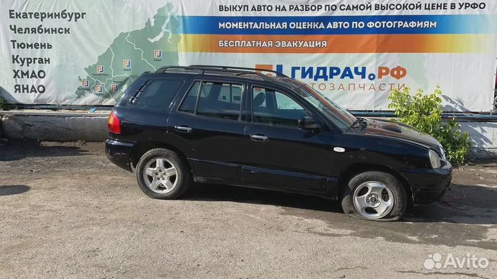 Стекло двери заднее правое Hyundai Santa Fe (SM)