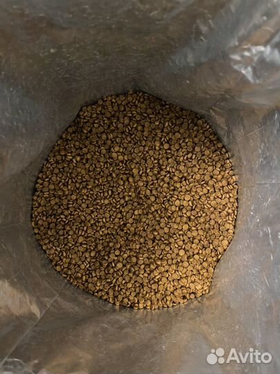 Корм для кошек purina