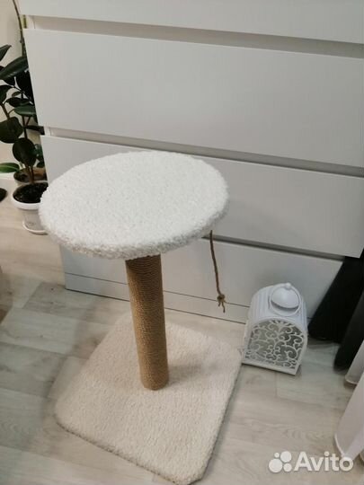 Когтеточка