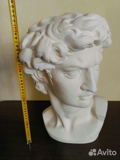 Большой бюст Давида