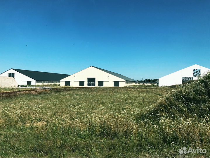 Продам молочно-товарную ферму на 1200 голов скота