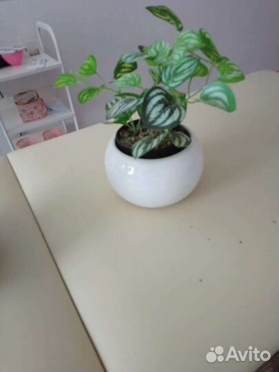 Искусственные цветы в горшках