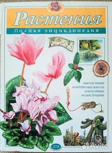 Энциклопедии 