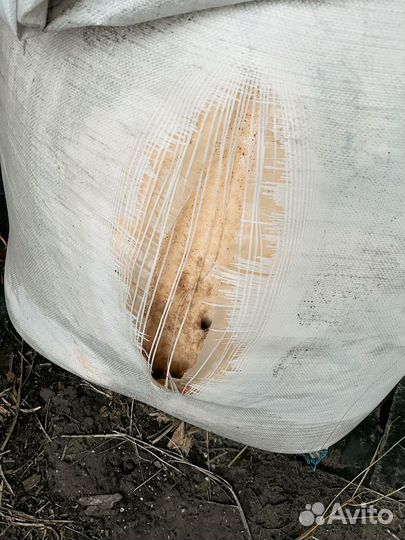 Минеральные удобрения