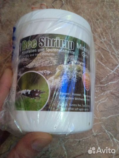 Аквариумные рыбки