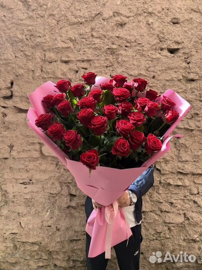 31 красная роза