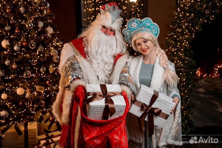 Дед мороз и снегурочка на дом