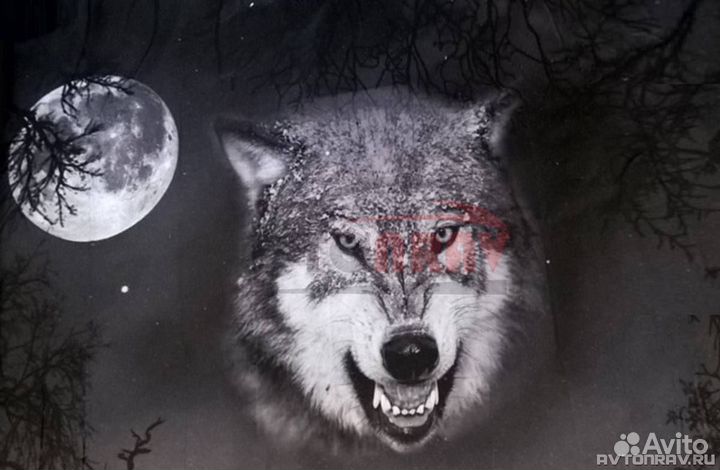 Винилография Wolf anger на капот