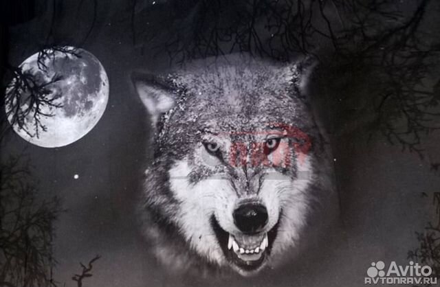 Винилография Wolf anger на капот