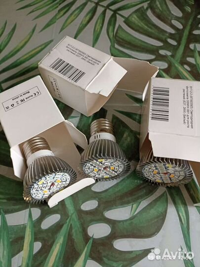 Фитолампа для растений