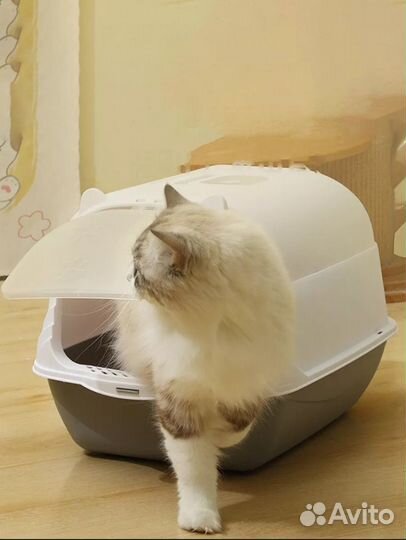 Закрытый лоток для кошек большой