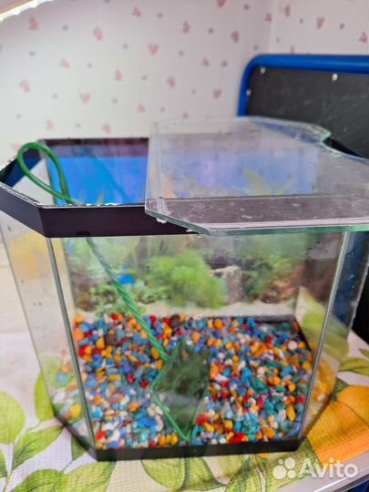 Аквариум