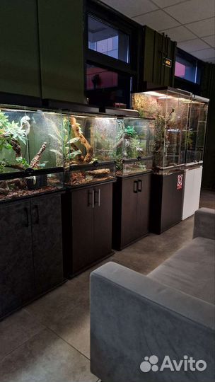 Террариумы для рептилий