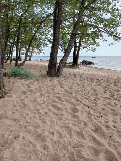 Дом 40 м² на участке 7 сот.