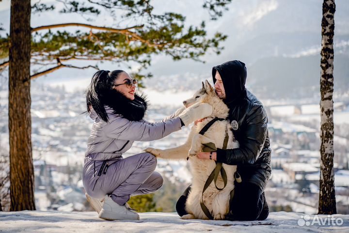 Фотограф и видеосъемка, альбомы под ключ