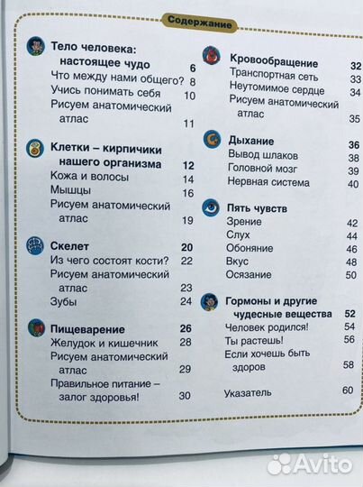 Книга Тело человека энциклопедия 60 страниц