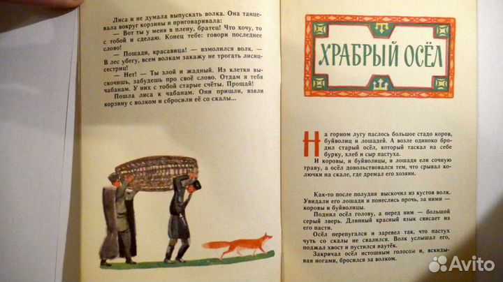 Владения сизых голубей