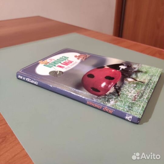 Диана Шипп. Природа и мы. 64с 2001