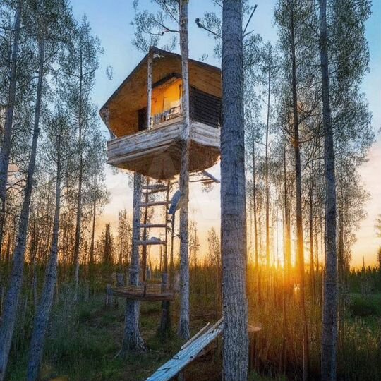 Участок 65 га (СНТ, ДНП)