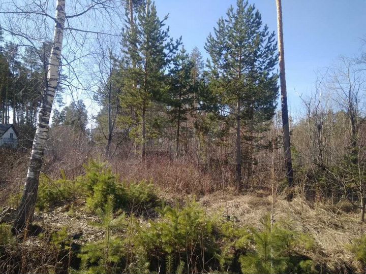 Участок 15 сот. (СНТ, ДНП)