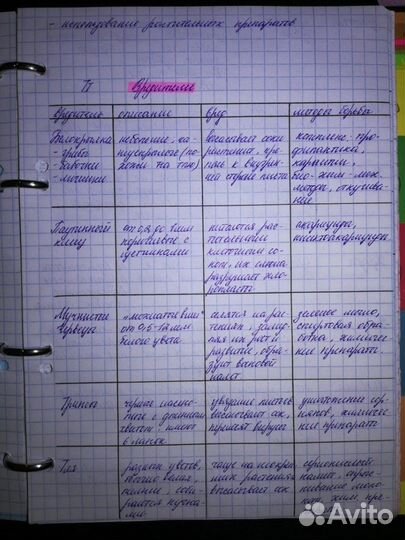 Написание конспектов, создание презентаций, доклад