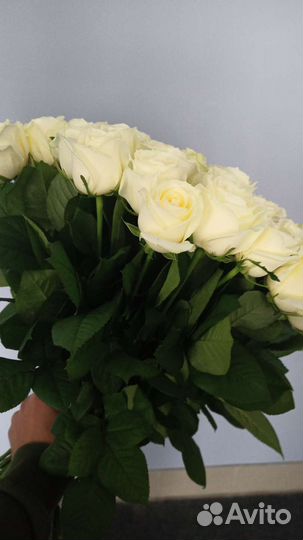 Букеты из 51 розы