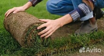 Газон рулонный гарантия