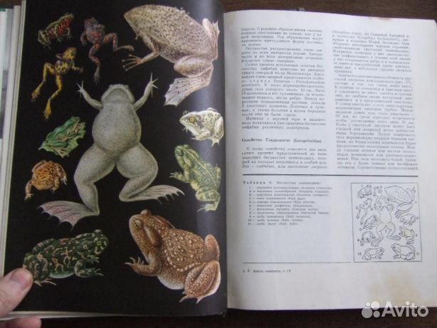 Книги для поступающих по биологии