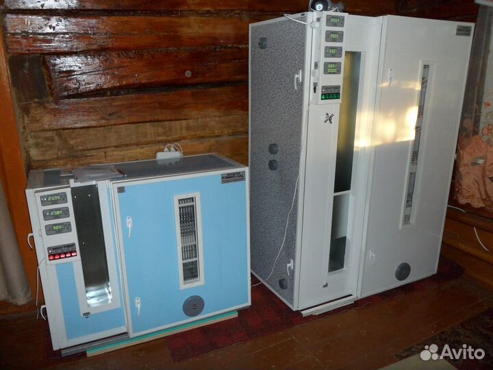 Инкубаторы с автоматическим поворотом яиц