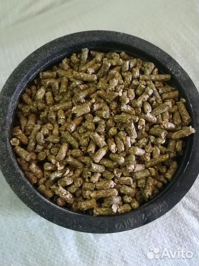 Зерно ячмень пшеница