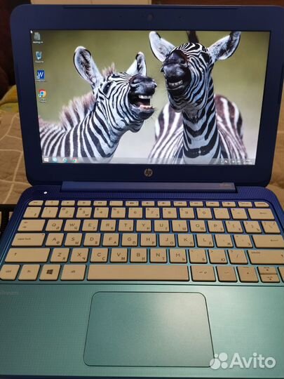 Нетбук hp